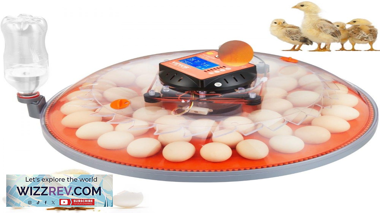 Thumbnail for VEVOR 48 Egg Incubator Incubators for Hatching Eggs 360 Automatic Egg Turner