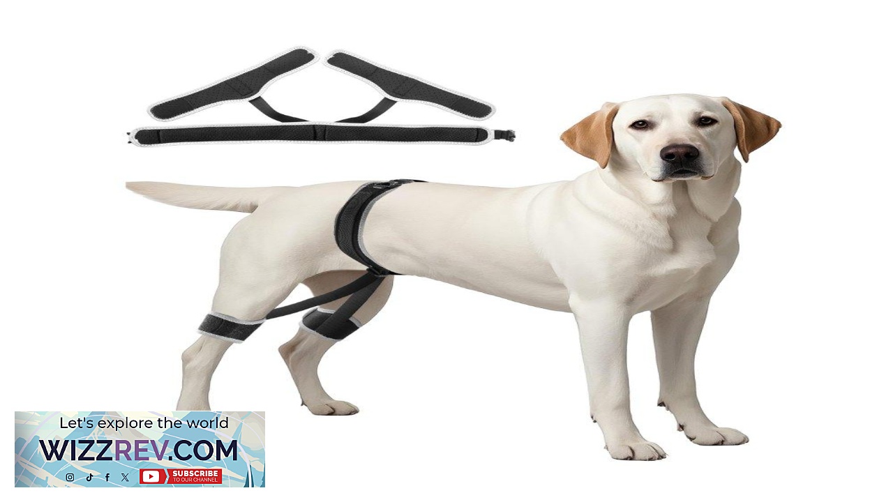 Thumbnail for VEVOR Dog Hip Support Brace Breathable & Durable Support Brace for Dogs